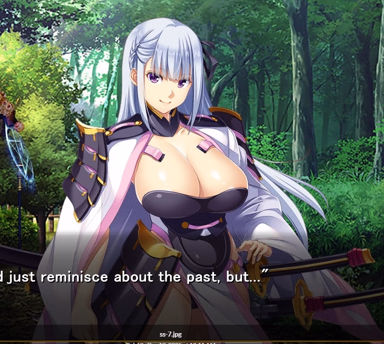 Others Completed To My Wives Who Were Once Heroes [Final + DLC1] [peperoncino]