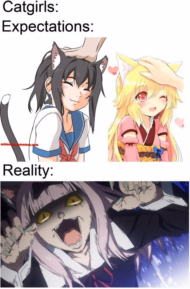 VN Ren'Py Furry College [v1.0.0] [Drunk Robot]