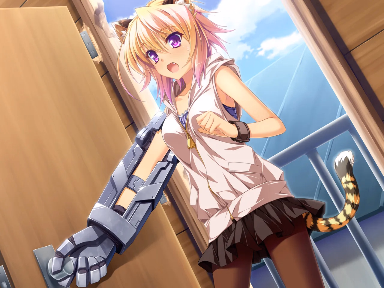 VN Others Completed Otomimi Infinity [Final] [Applique Imouto]