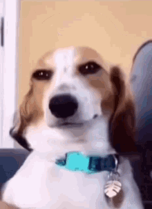 Ren'Py Completed Naughty Doug [v1.0.1] [Heedless]