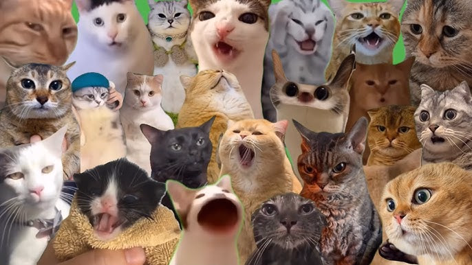 Ren'Py The Puss Collection [v0.2.0] [Gregoryum]