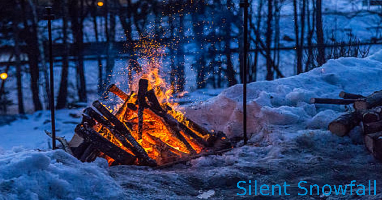 VN Ren'Py Silent Snowfall [v9.3] [Therealwolfy] download