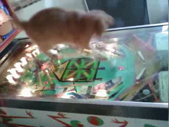 Unreal Engine Completed Porn Pinball [v1.0] [Samejima]