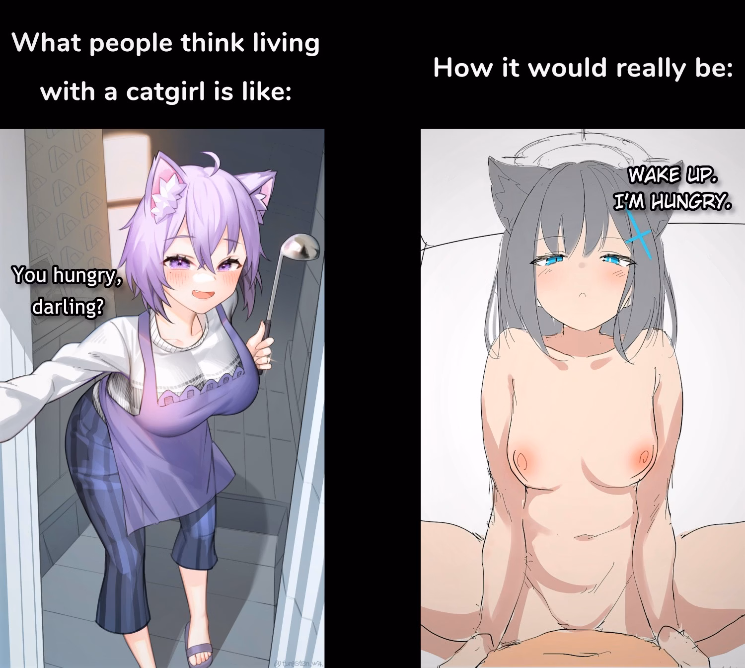 Unity Completed Long Live the Catgirls！[v1.0.9] [Super Elephant Game]