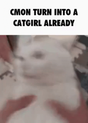 HTML Exploding CatGirls [v0.25] [Shimomura Tsutomu]