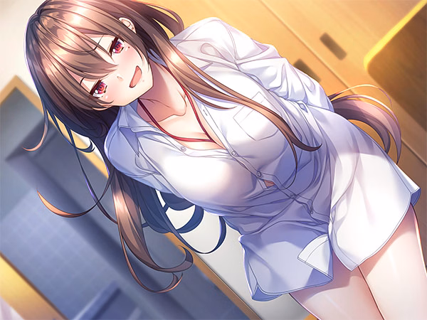 VN Others Completed Aikagi 3 [Final] [Azarashi Soft]