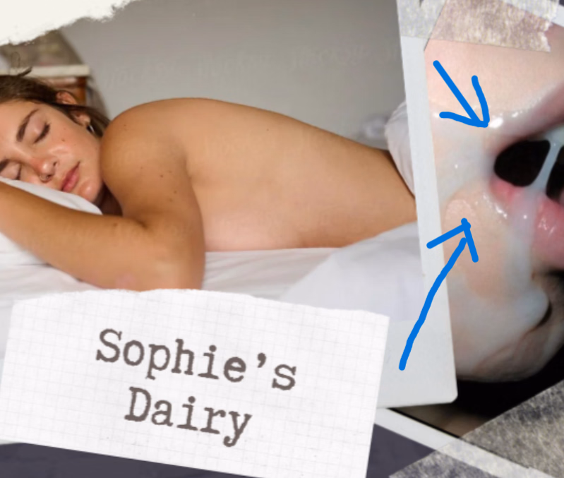 HTML Sophie's Diary [v0.3] [SophieDev]