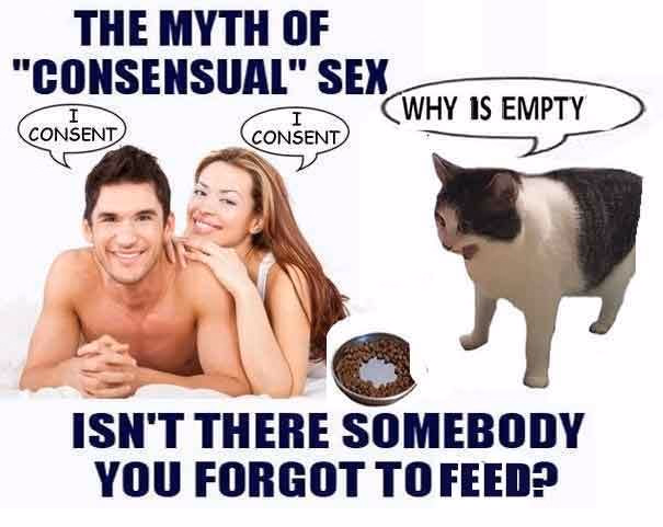 HTML Consent Pending [v0.2] [Scrublord]