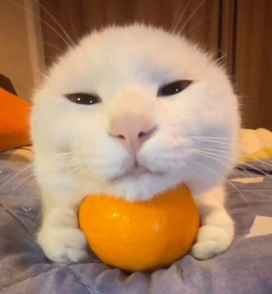 Others Spicy Tangerine [Public v1.0] [Siedo]