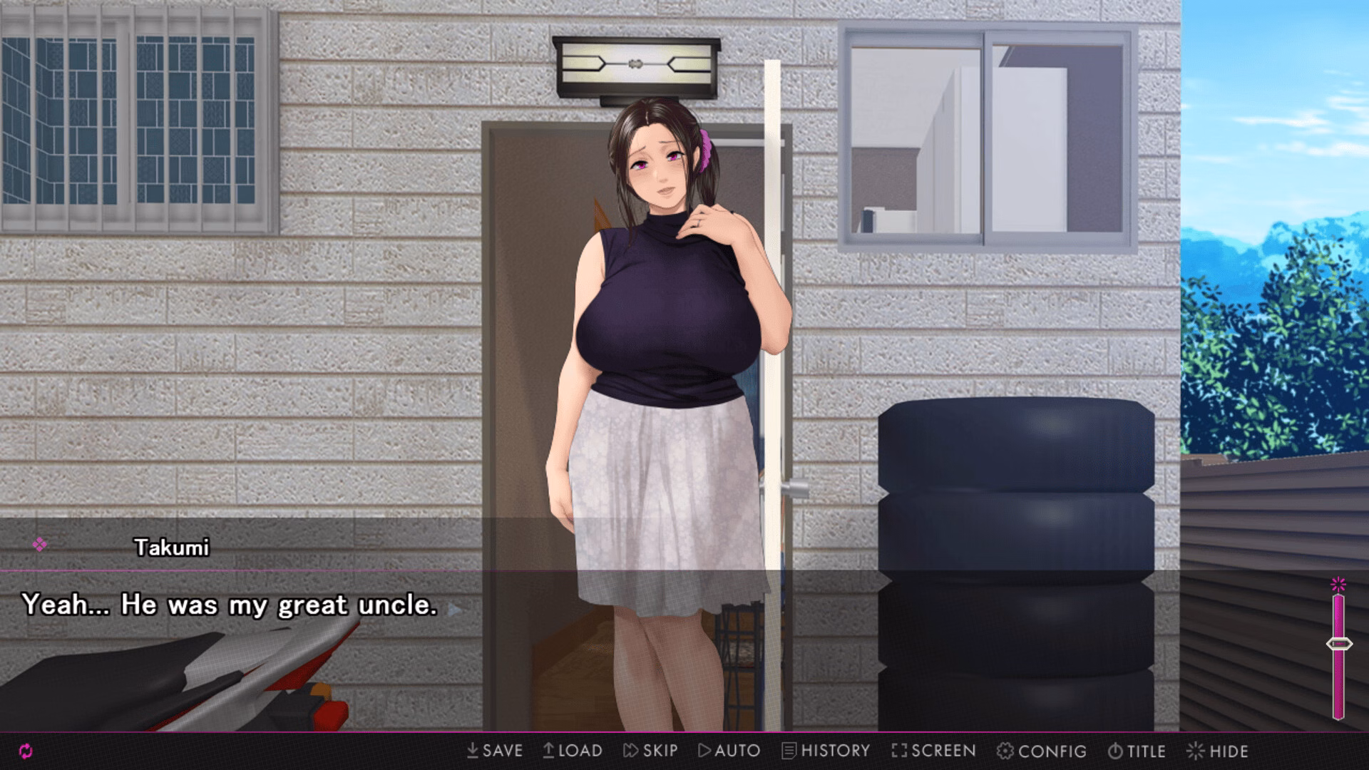 VN Others Completed Afternoon Affairs & Helpless Housewives [Final] [Studio Pork]