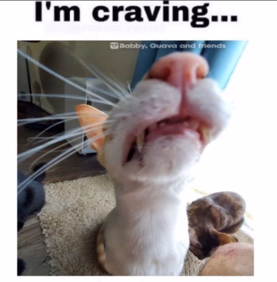 HTML City of cravings [v0.1] [Citocrav]