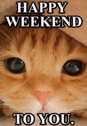 VN Others Completed Happy Weekend [Final] [HOOKSOFT]