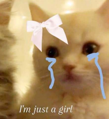 VN Ren'Py Cute Girl [v0.96d] [Annon379]