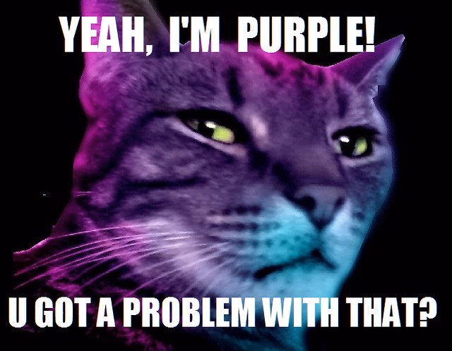Ren'Py The Purple House [v0.1] [CocoaBoom]