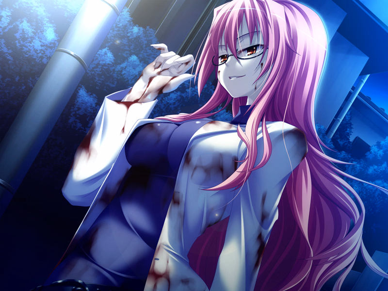 VN Others Completed DEVILS DEVEL CONCEPT [Final] [Akatsuki Works]