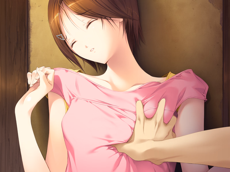 VN Others Completed Ningen Debris [Final] [Elf]