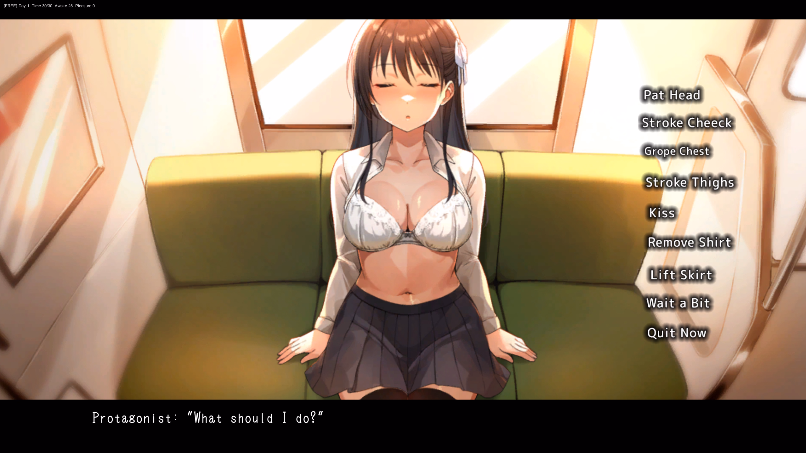 Unity Completed Sleeping Train Molester [v1.0] [Pinkgate]