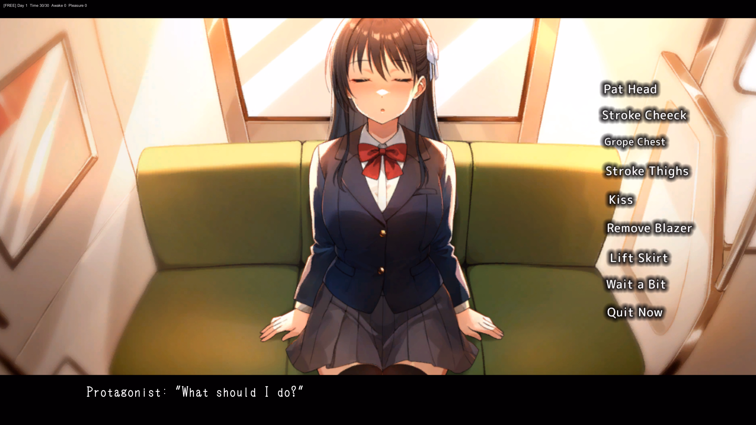 Unity Completed Sleeping Train Molester [v1.0] [Pinkgate]