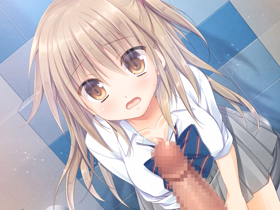 VN Others Completed Monotari [Final] [kokikko]