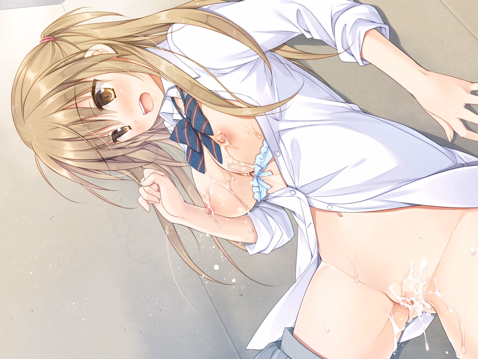 VN Others Completed Monotari [Final] [kokikko]