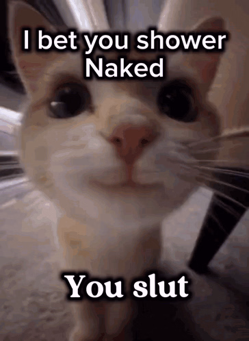 HTML Awakening A Slut [v2.2] [Derts]